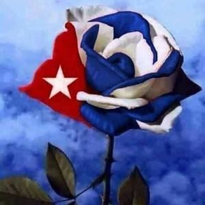 Meet your Posher, Maylin